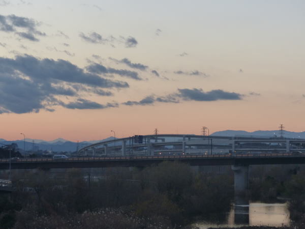 新横浜 鶴見川 散歩道 点描_c0111518_08463934.jpg