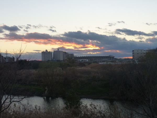 新横浜 鶴見川 散歩道 点描_c0111518_08484617.jpg