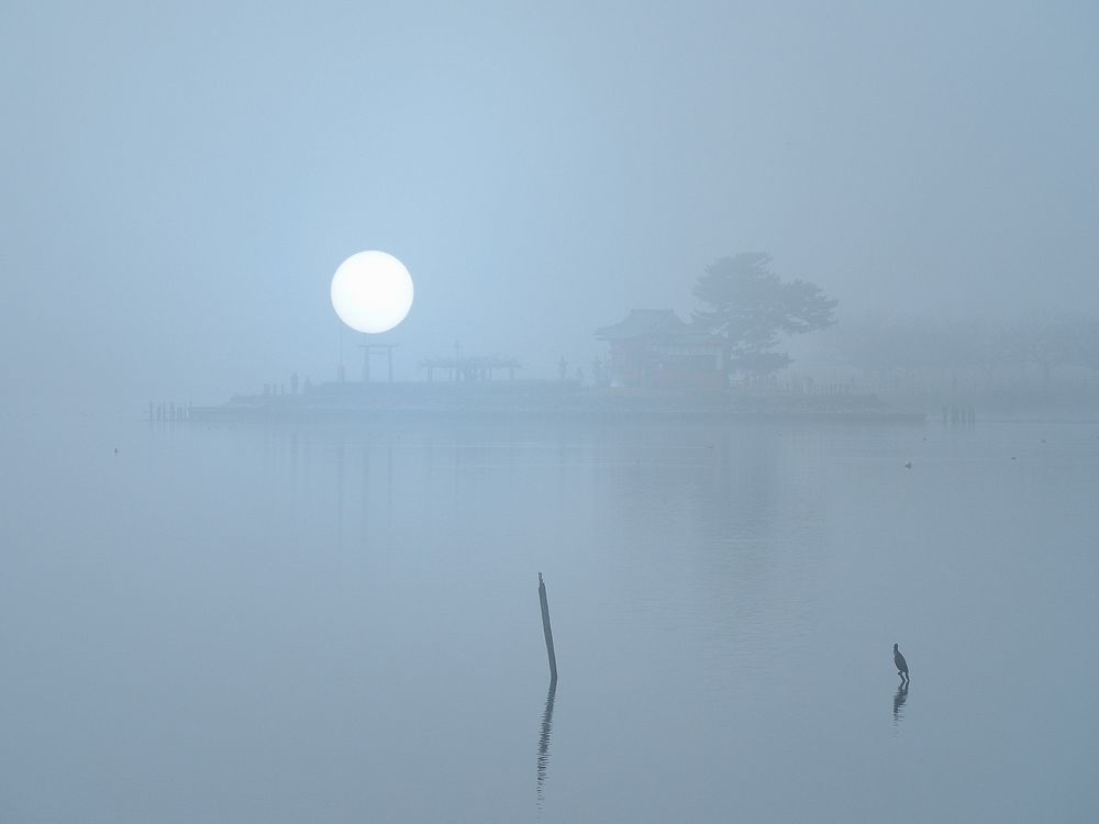 令和元年の最後は濃霧の朝になっちゃったな。ホワイトアウトの多々良沼に居た(;^_^A_a0031821_16471119.jpg
