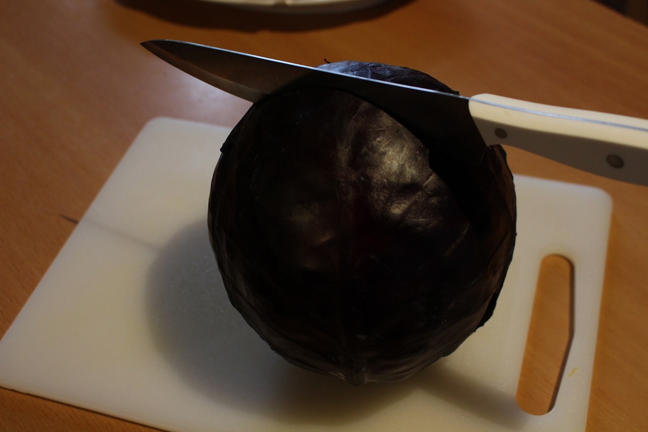 ドイツのクリスマスと日本の正月 03_a0355629_11074739.jpg