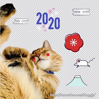 2020☆今年もよろしくお願いします_a0344633_18590539.jpg