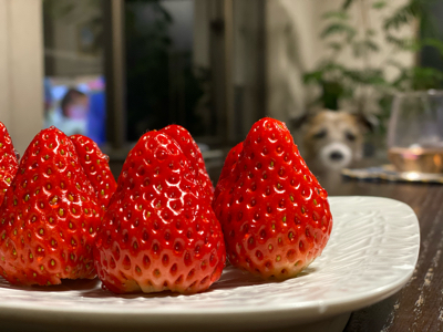 いちご_b0139033_20053610.jpg