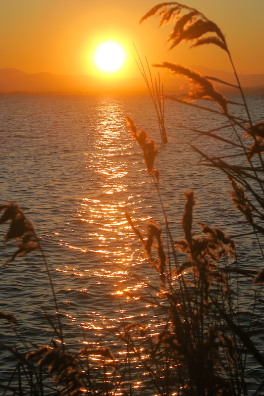 オレンジの夕焼け 三日月 たそがれの青、トラジメーノ湖_f0234936_4285832.jpg