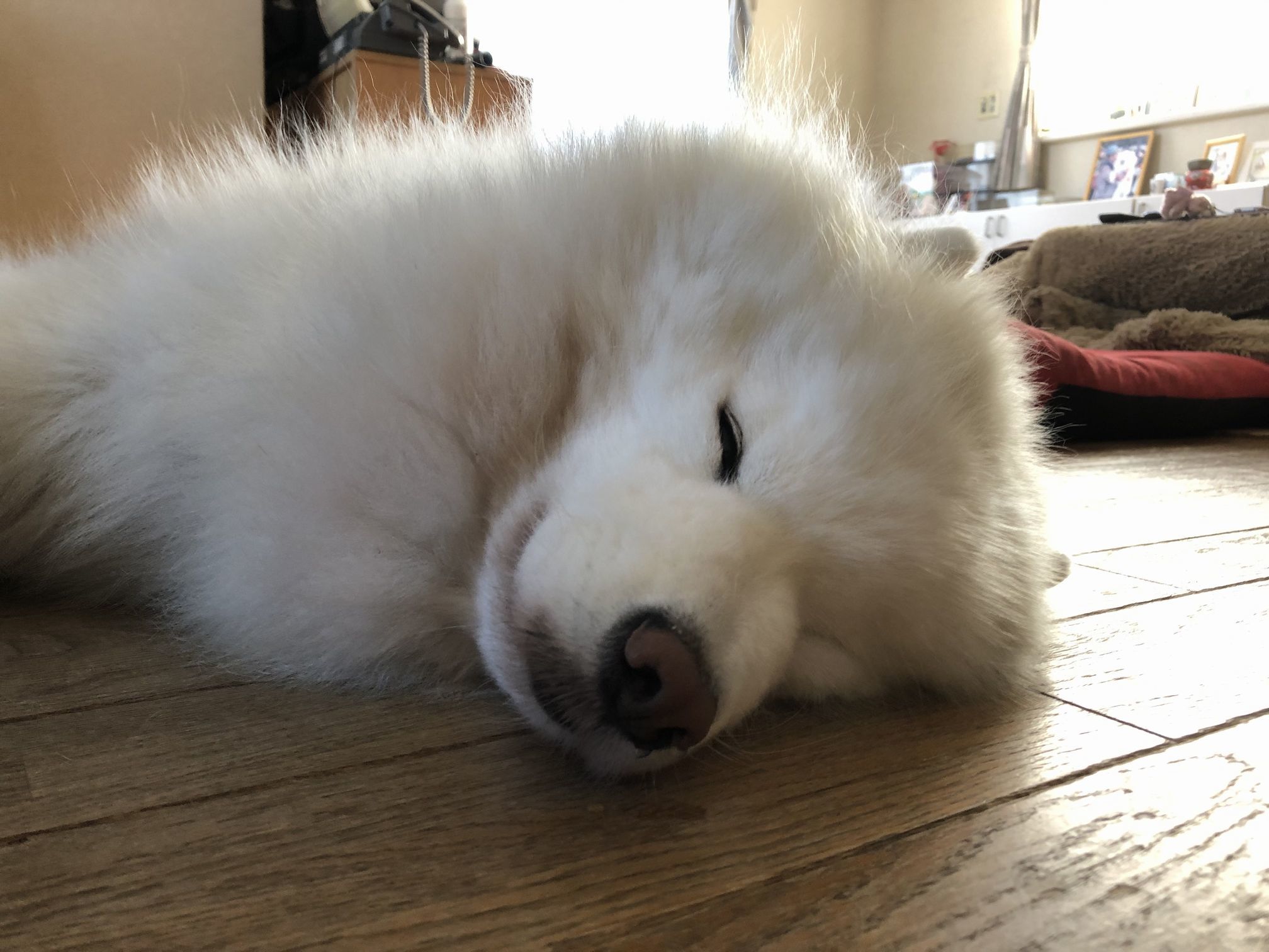 2019年11月後半 インスタ写真集 その2_f0128542_00365697.jpg