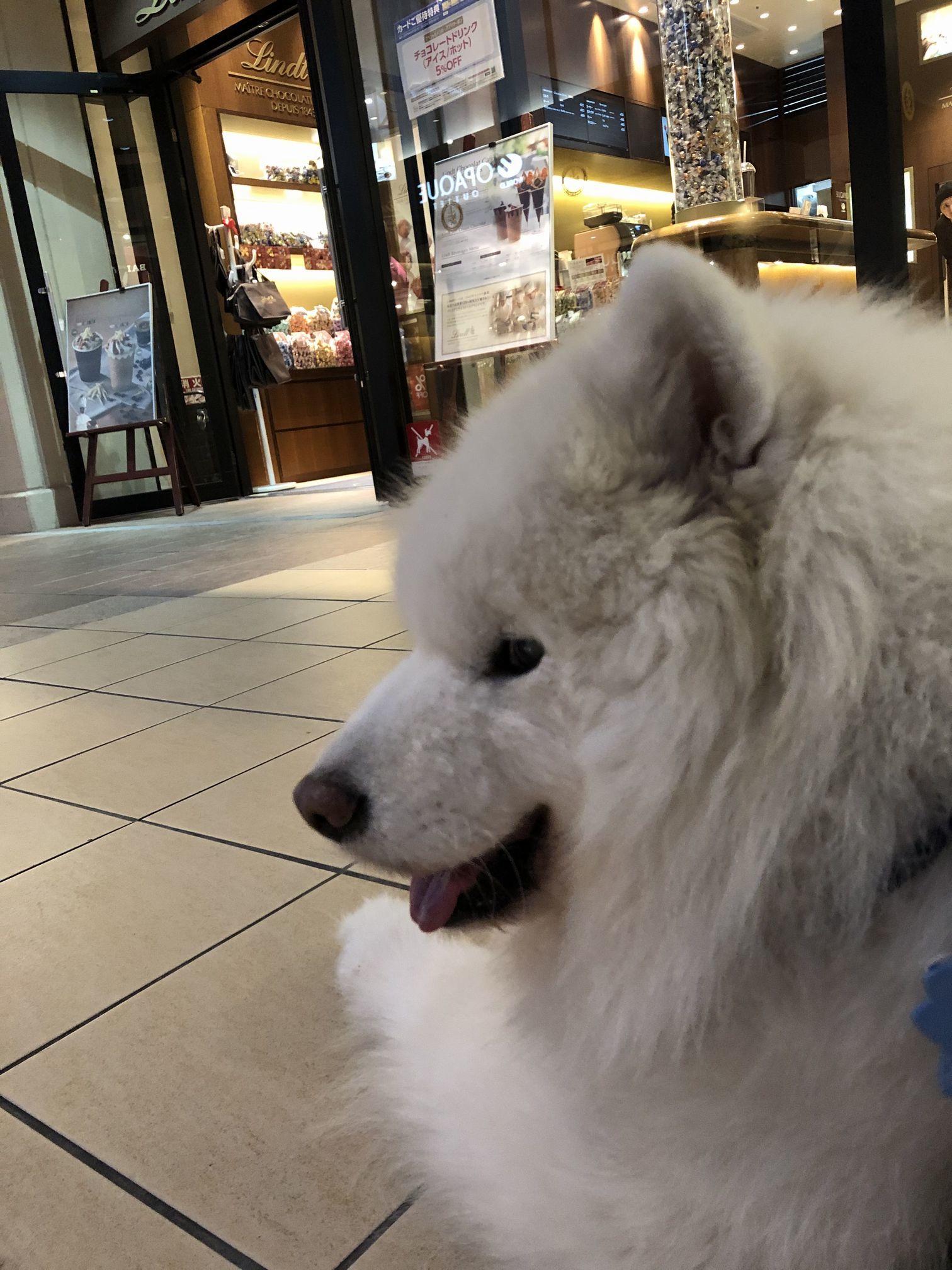 2019年11月後半 インスタ写真集 その2_f0128542_00440651.jpg
