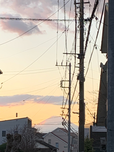 大晦日の暖かい光_e0127746_20122695.jpg