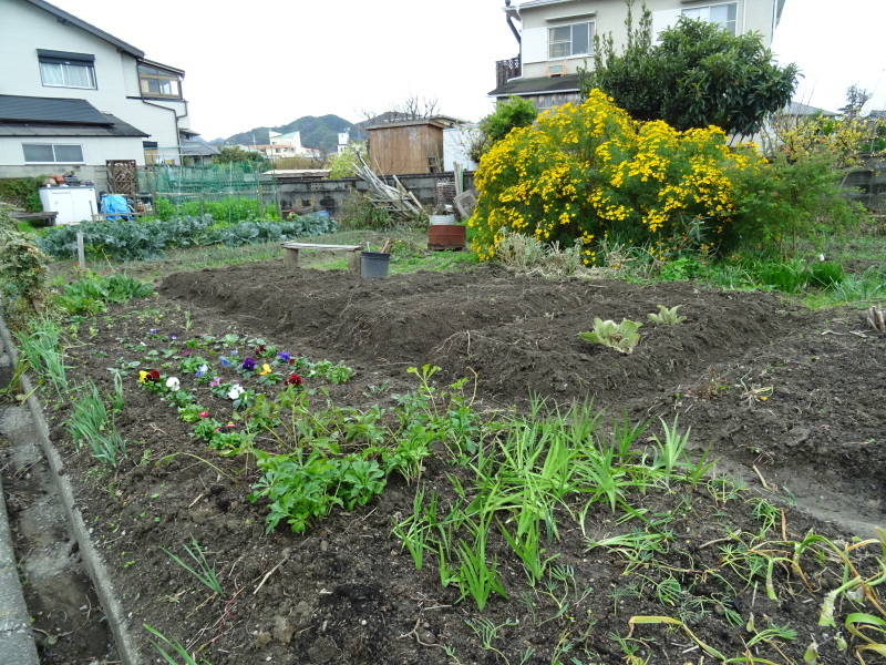 我が家の花壇のリニューアル完了_c0108460_15522673.jpg