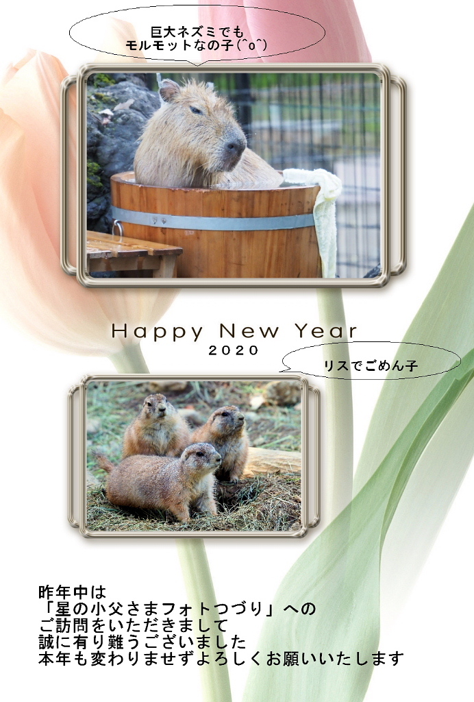 2020年 明けましておめでとうございます。_c0305565_23393556.jpg