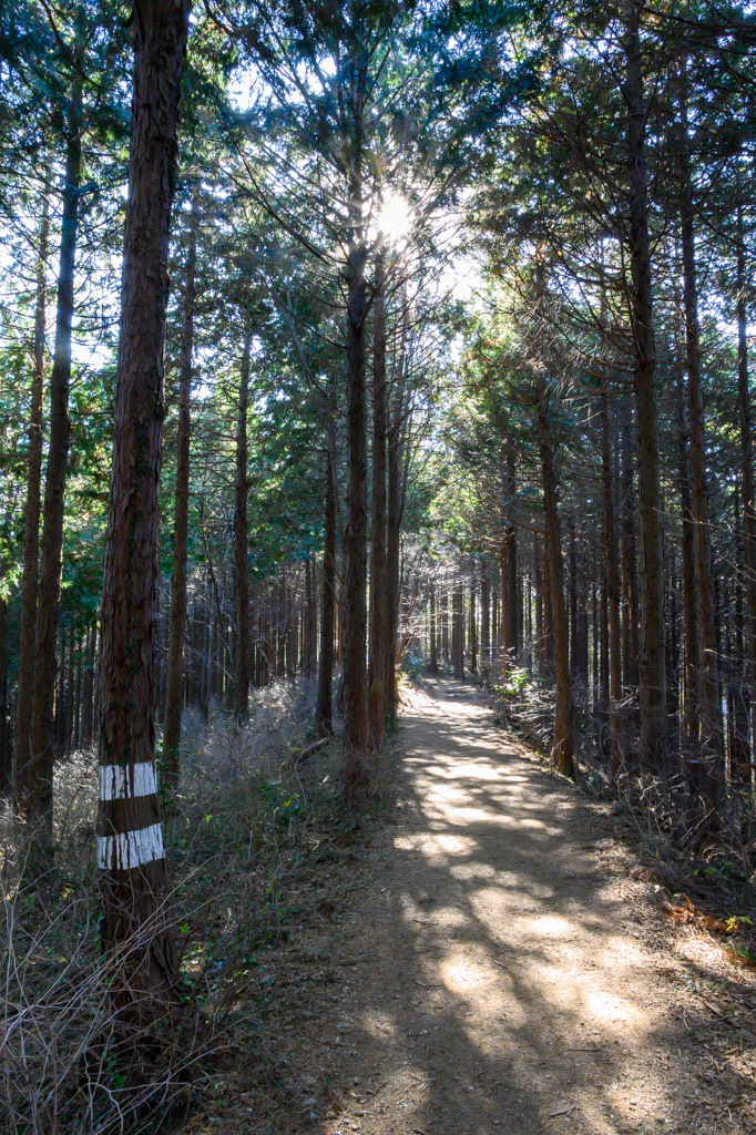 2019 山歩記・師走の低山ハイキング（景信山〜高尾山）_b0247073_00160465.jpg