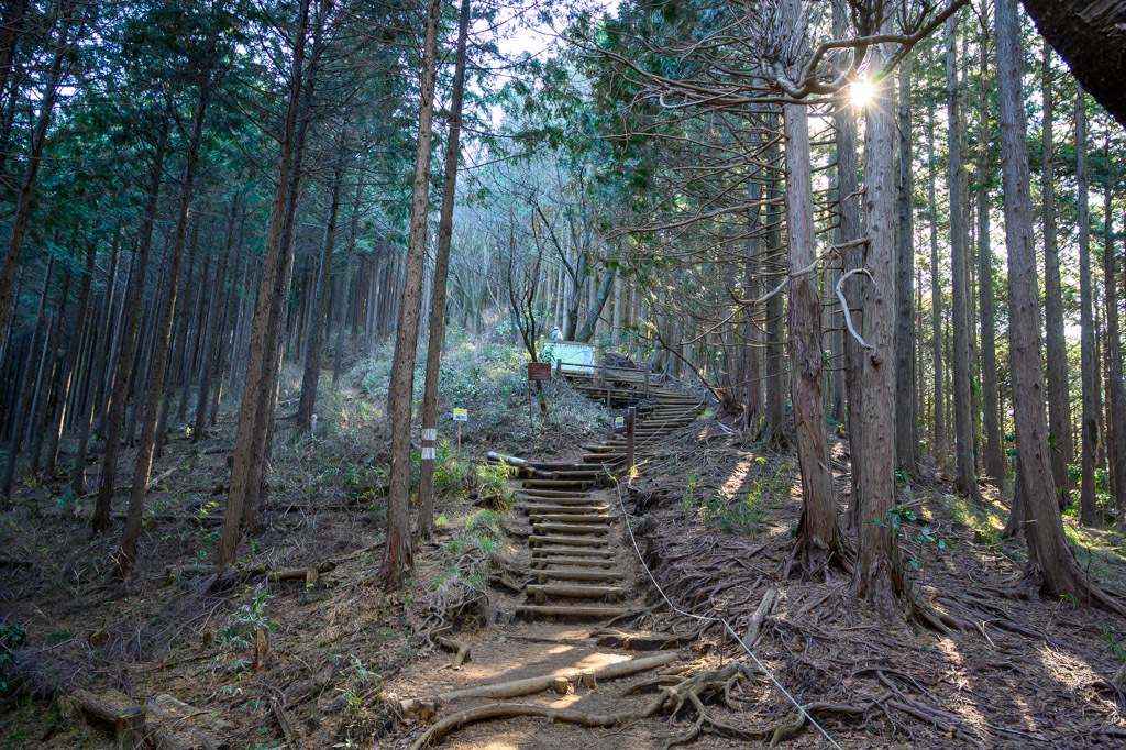 2019 山歩記・師走の低山ハイキング（景信山〜高尾山）_b0247073_00162439.jpg
