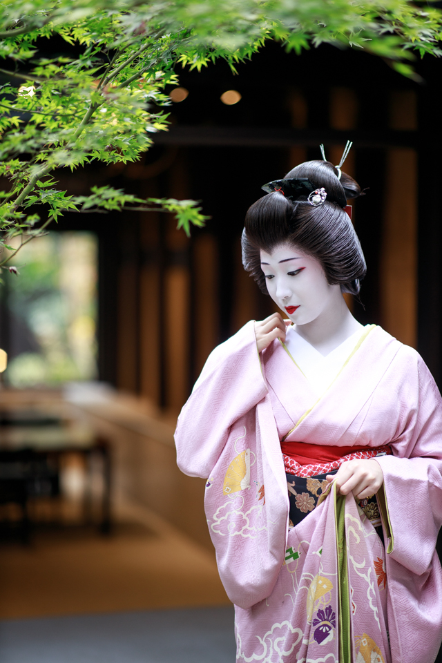 祇園甲部　芸妓　舞妓　千社札　まめ藤　まめ藤さん 御存知！まめ藤どす（祇園甲部・まめ藤さん） : 花景色－K.W.C.