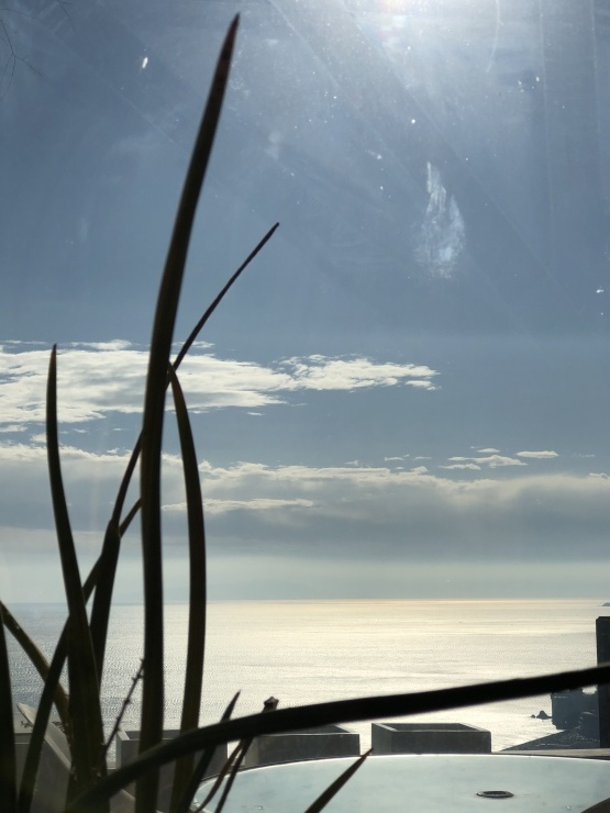 2019年１２月３１日　今年もありがとうございました_b0098584_13544133.jpeg