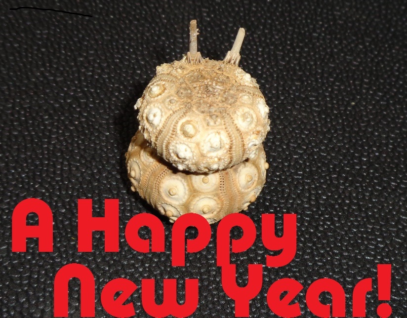 謹賀新年!! 2020_d0318386_12504807.jpg