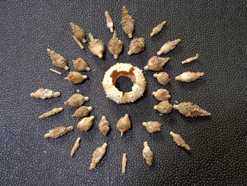 謹賀新年!! 2020_d0318386_13565960.jpg