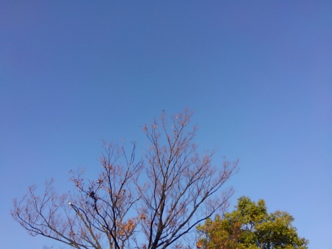 今年も無事に。。。_b0210688_10244070.jpg