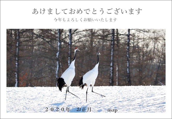 あけましておめでとうございます_f0146493_21131164.jpg