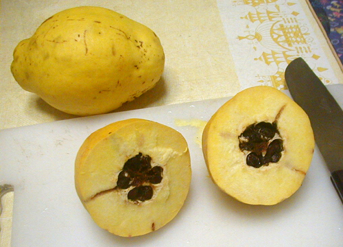 ●咳が止まらないのでカリン酒を漬ける_d0053294_01490832.jpg