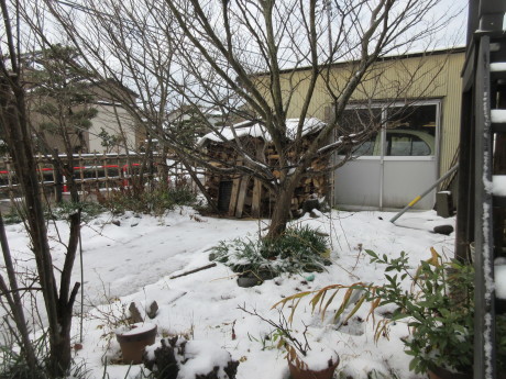 雪の元日_a0203003_19215482.jpg