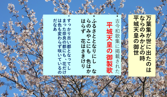 令和二年、古今集からみえることは何ですか_a0237545_01532323.png