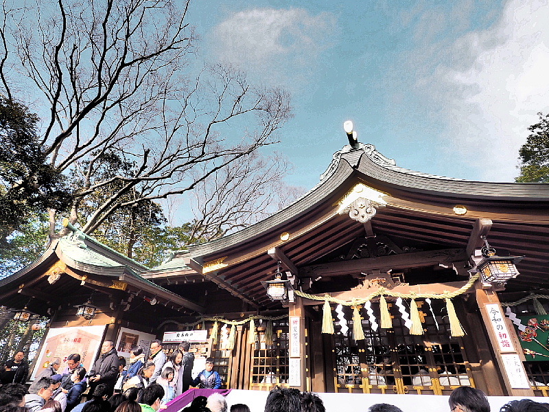 【日記】「下総之国 神祇三社 検見川神社」初詣_b0008655_21330393.jpg