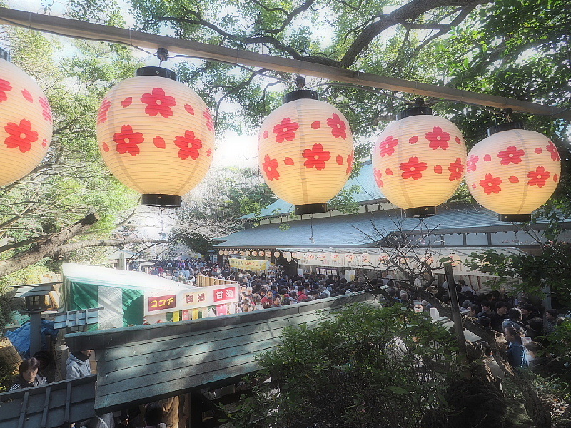 【日記】「下総之国 神祇三社 検見川神社」初詣_b0008655_21352122.jpg