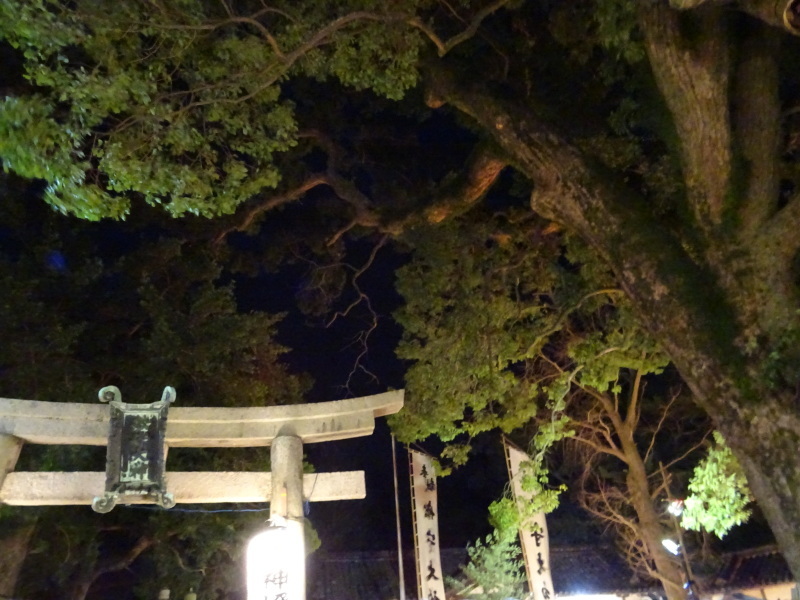 船守神社へ初詣（岬町淡輪）_c0108460_01142621.jpg