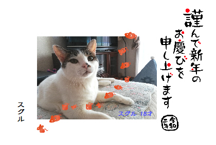 無事に年を越しました_e0171874_12130828.jpg