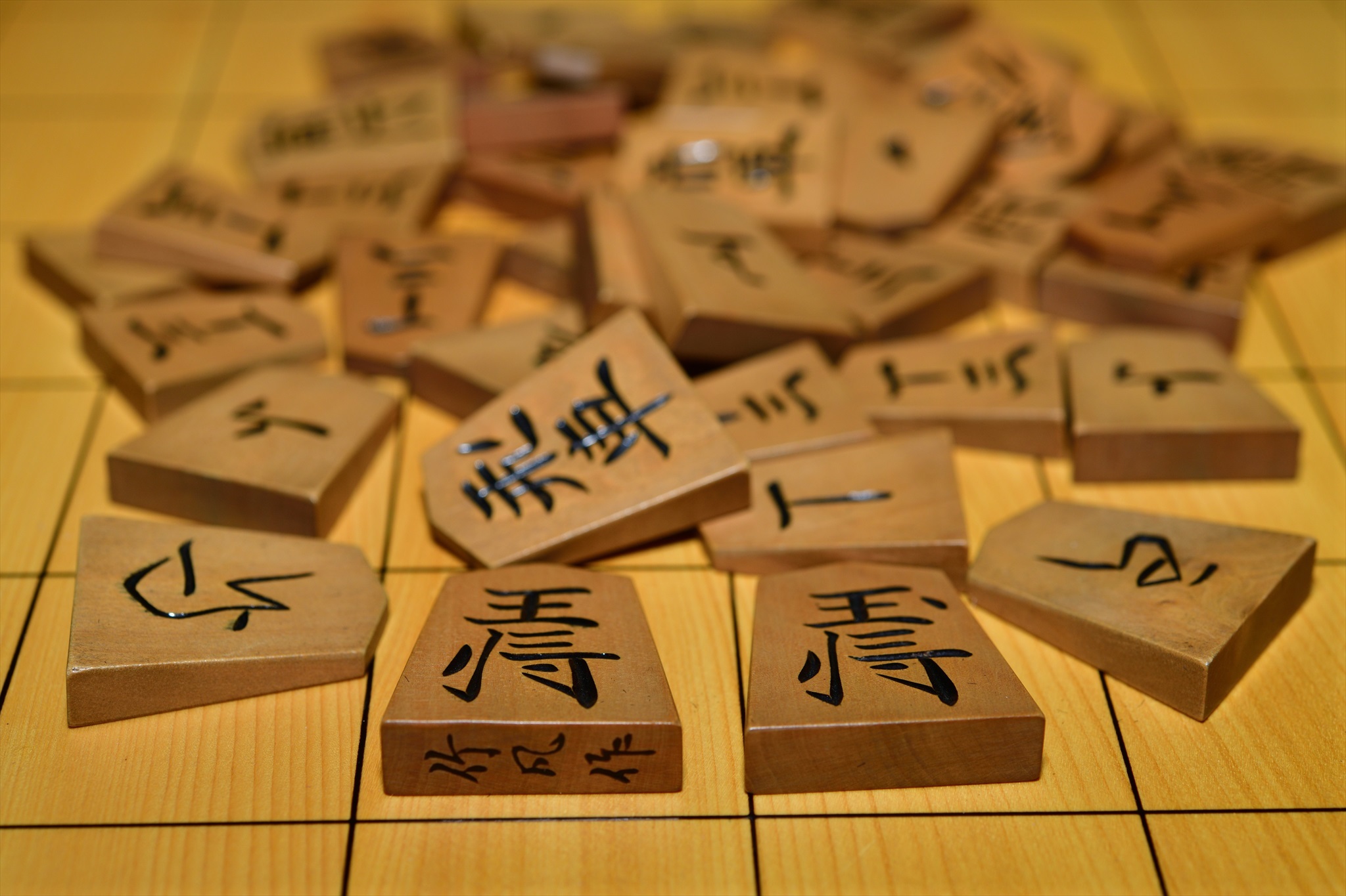 50年ぶりの将棋の駒 野の花山の花ウォッチング In 奥多摩 50年ぶりの将棋の駒 野の花山の花ウォッチング In 奥多摩