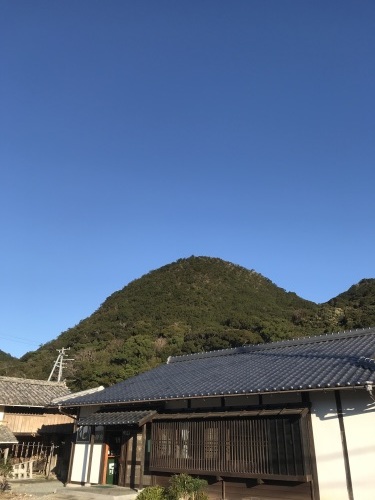 2020年元旦の猫楠舎_f0054677_08573386.jpeg