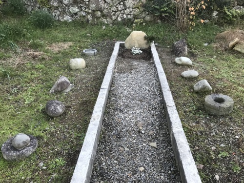 2020年元旦の猫楠舎_f0054677_08580797.jpeg