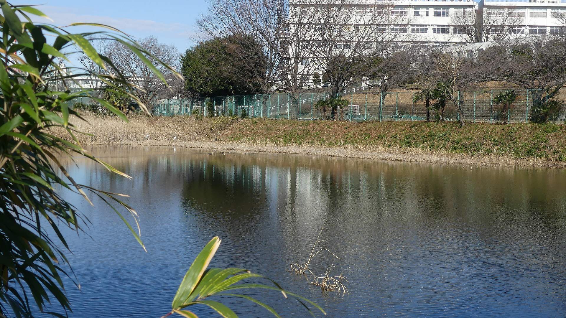 元旦の初詣2020_a0185081_14202400.jpg