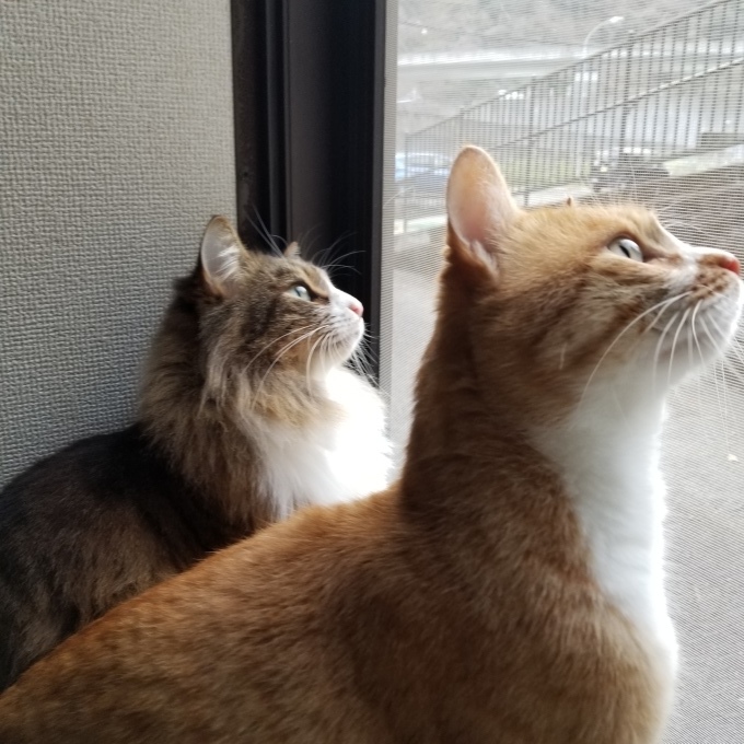 2020 あけまして おめでとうございます!_c0369492_22081737.jpg