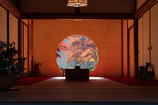 北鎌倉の紅葉2019 明月院 長寿寺 円覚寺_b0145398_22435331.jpg