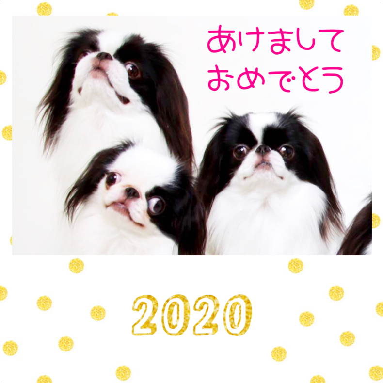 令和2年おめでとう&#127882;_a0155999_09273955.jpg