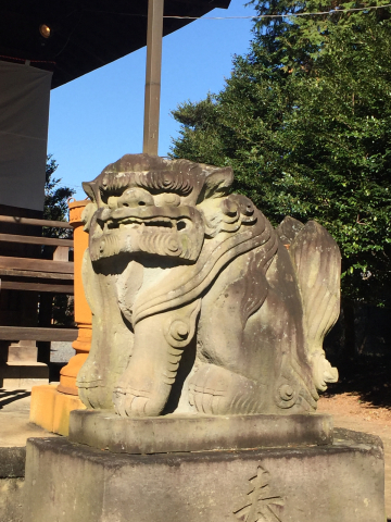 平柳星宮神社_e0059513_23302229.jpg