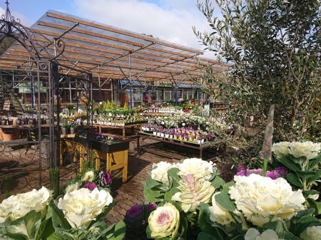 ログハウス  まつおえんげい_d0106134_14175049.jpg