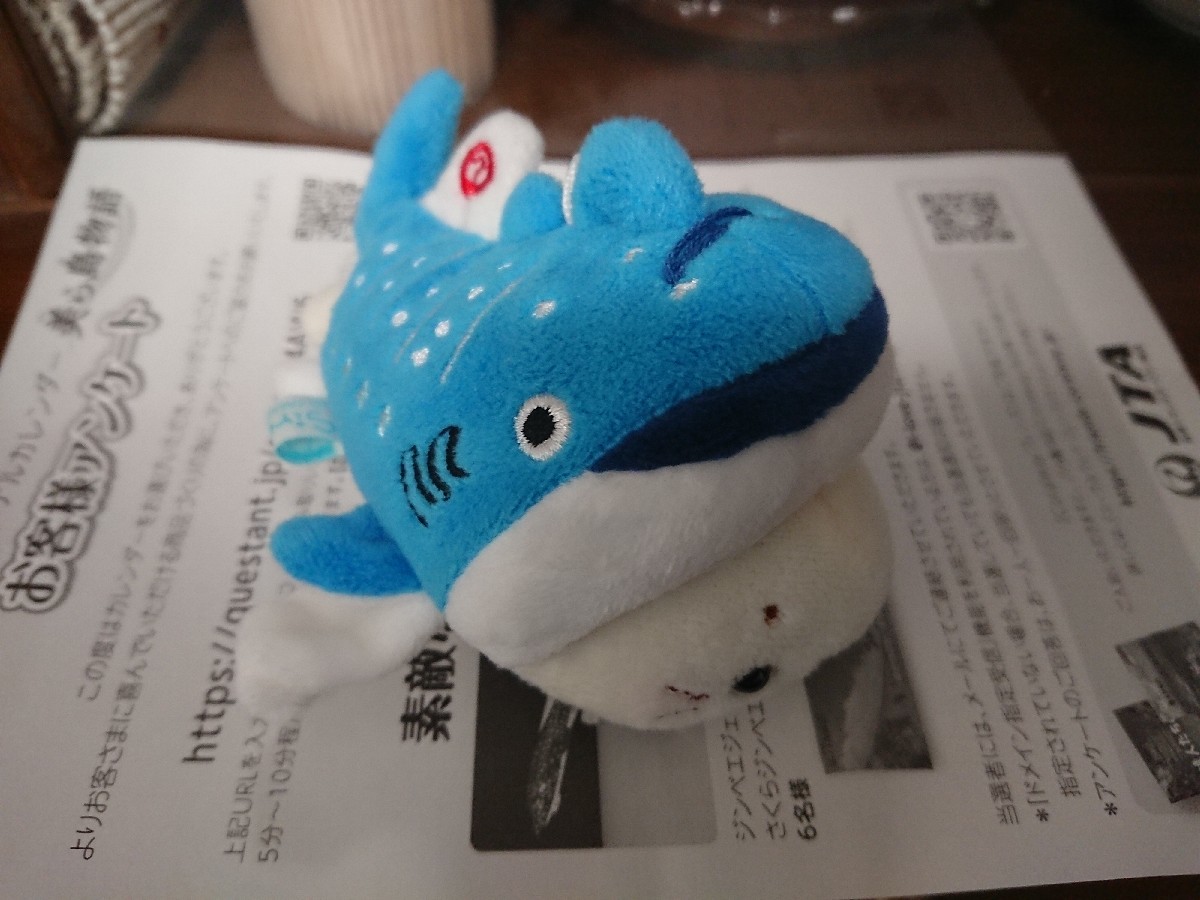 おはようモーニング_c0100865_09265109.jpg