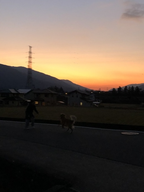 穏やかな時間_a0394574_23205909.jpeg