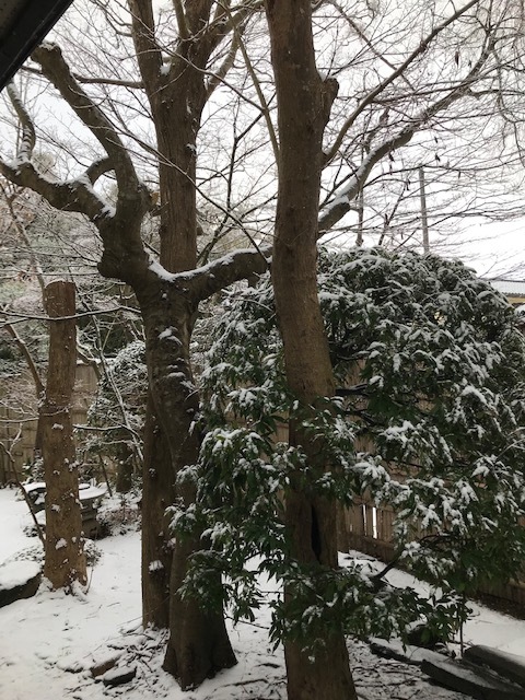 岩室温泉にて(2)_e0337777_09265861.jpg