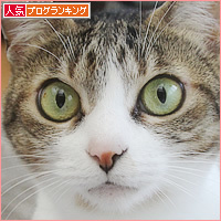 お節と猫たち_a0389088_17433043.jpg