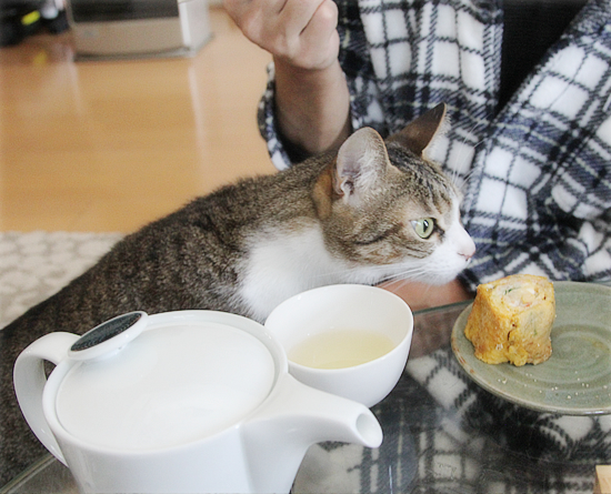お節と猫たち_a0389088_17433066.jpg