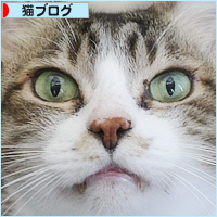 お節と猫たち_a0389088_17433092.jpg