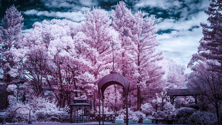 発狂系の雪が降った都市公園_d0353489_22101660.jpg