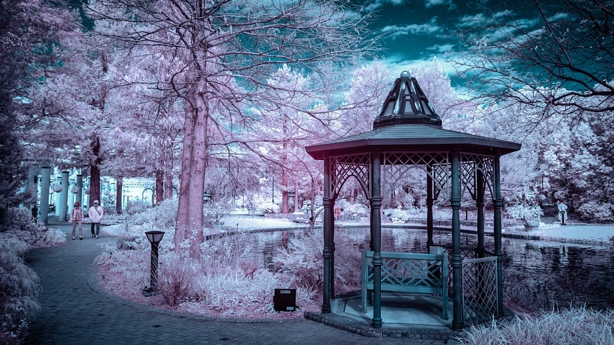 発狂系の雪が降った都市公園_d0353489_22102043.jpg