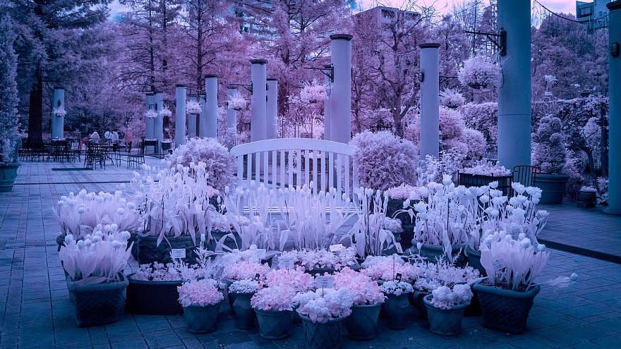 発狂系の雪が降った都市公園_d0353489_22102797.jpg