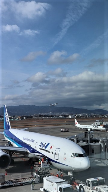青森駅は還暦を迎えました。そして、大改装中です。青い森鉄道と雪景色、雪の中を激走する貨物列車とモーリーくん_d0181492_23435186.jpg