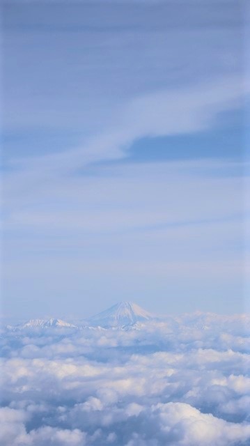 青森駅は還暦を迎えました。そして、大改装中です。青い森鉄道と雪景色、雪の中を激走する貨物列車とモーリーくん_d0181492_23443010.jpg