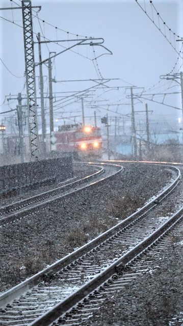 青森駅は還暦を迎えました。そして、大改装中です。青い森鉄道と雪景色、雪の中を激走する貨物列車とモーリーくん_d0181492_23455690.jpg