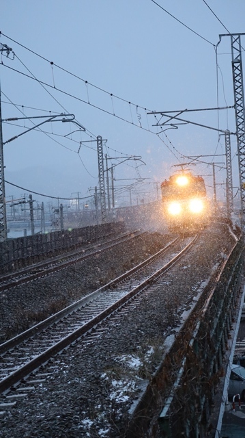 青森駅は還暦を迎えました。そして、大改装中です。青い森鉄道と雪景色、雪の中を激走する貨物列車とモーリーくん_d0181492_23470235.jpg