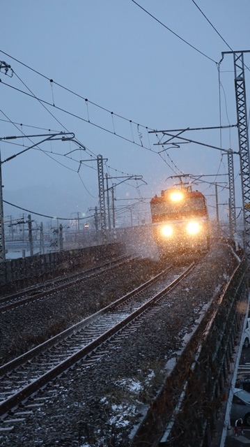 青森駅は還暦を迎えました。そして、大改装中です。青い森鉄道と雪景色、雪の中を激走する貨物列車とモーリーくん_d0181492_23471229.jpg